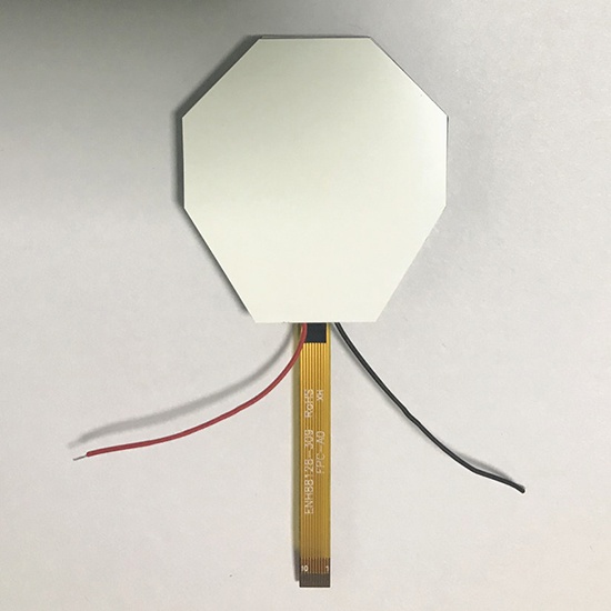 Octagon Segment LCD for Message Device