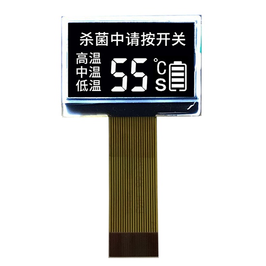 Customzied LCD Display Modules